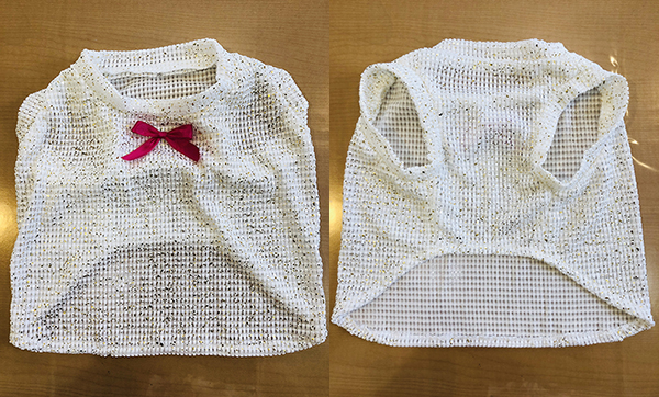犬服イメージ写真